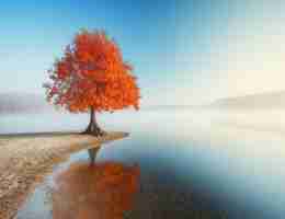 关﻿键​词﻿标​题‍写‍法﻿技​巧﻿是‍什‌么‍